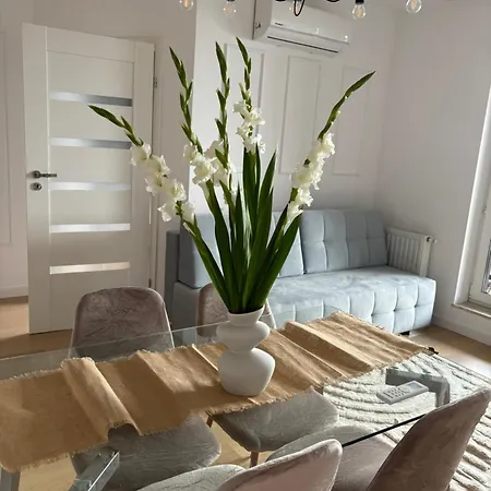Apartment Business And Friendly Self Check In Rzeszow