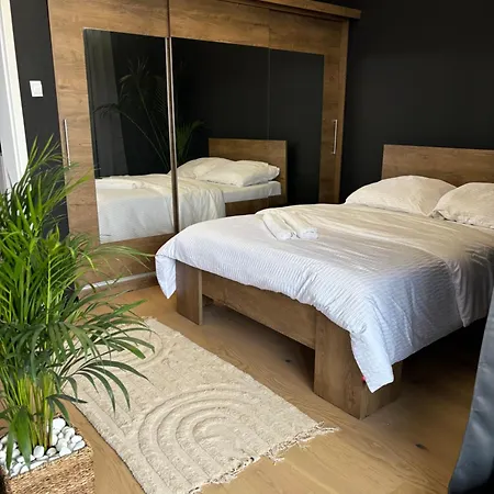 Business And Friendly Self Check In Apartment *