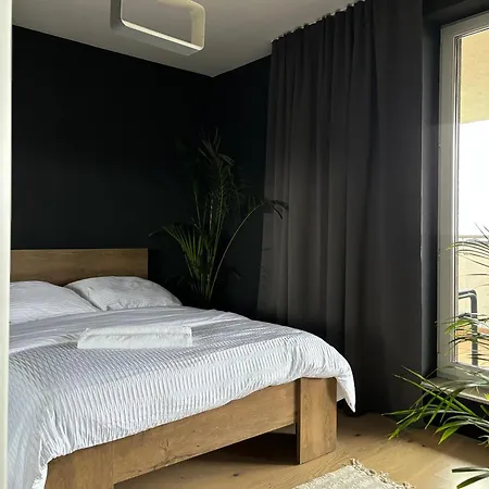 Business And Friendly Self Check In Apartment Rzeszow