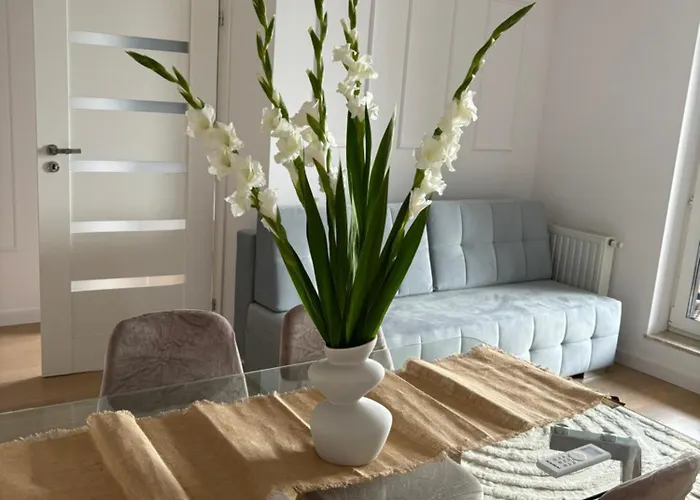 Διαμέρισμα Business And Friendly Self Check In Rzeszów